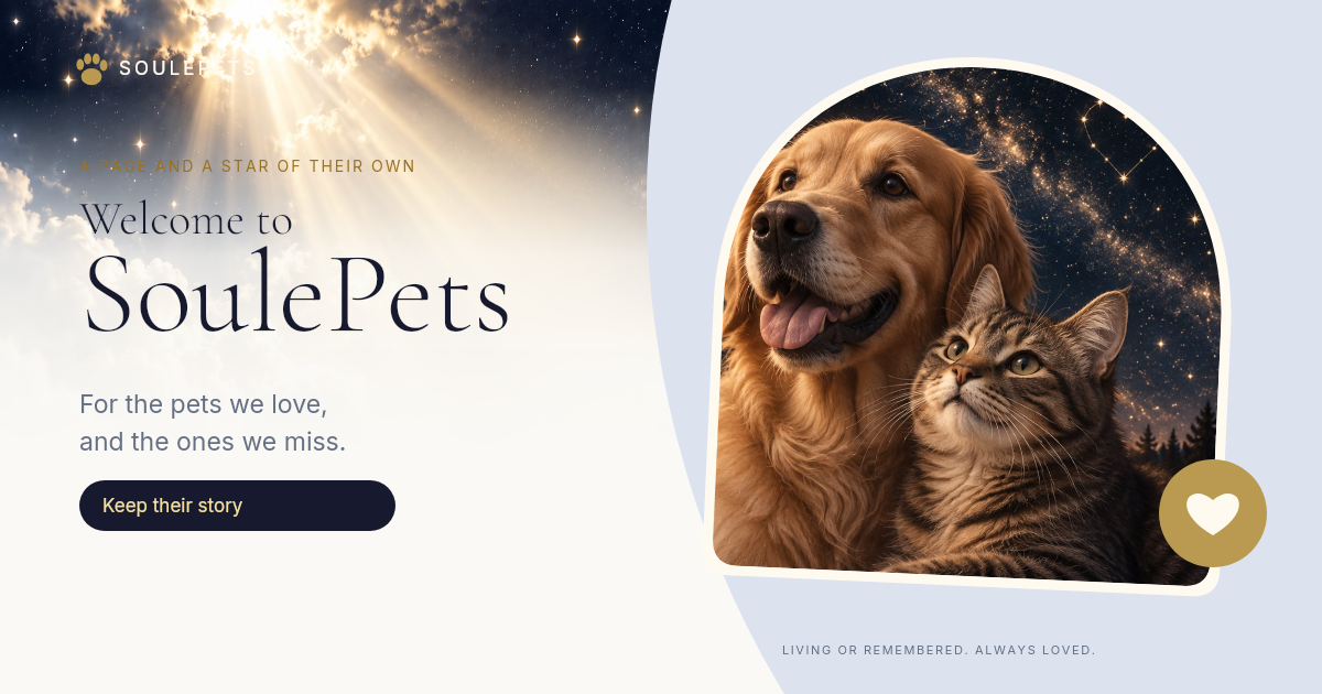 SoulePets keepsake artwork with a dog and cat, soft clouds, and a starry sky